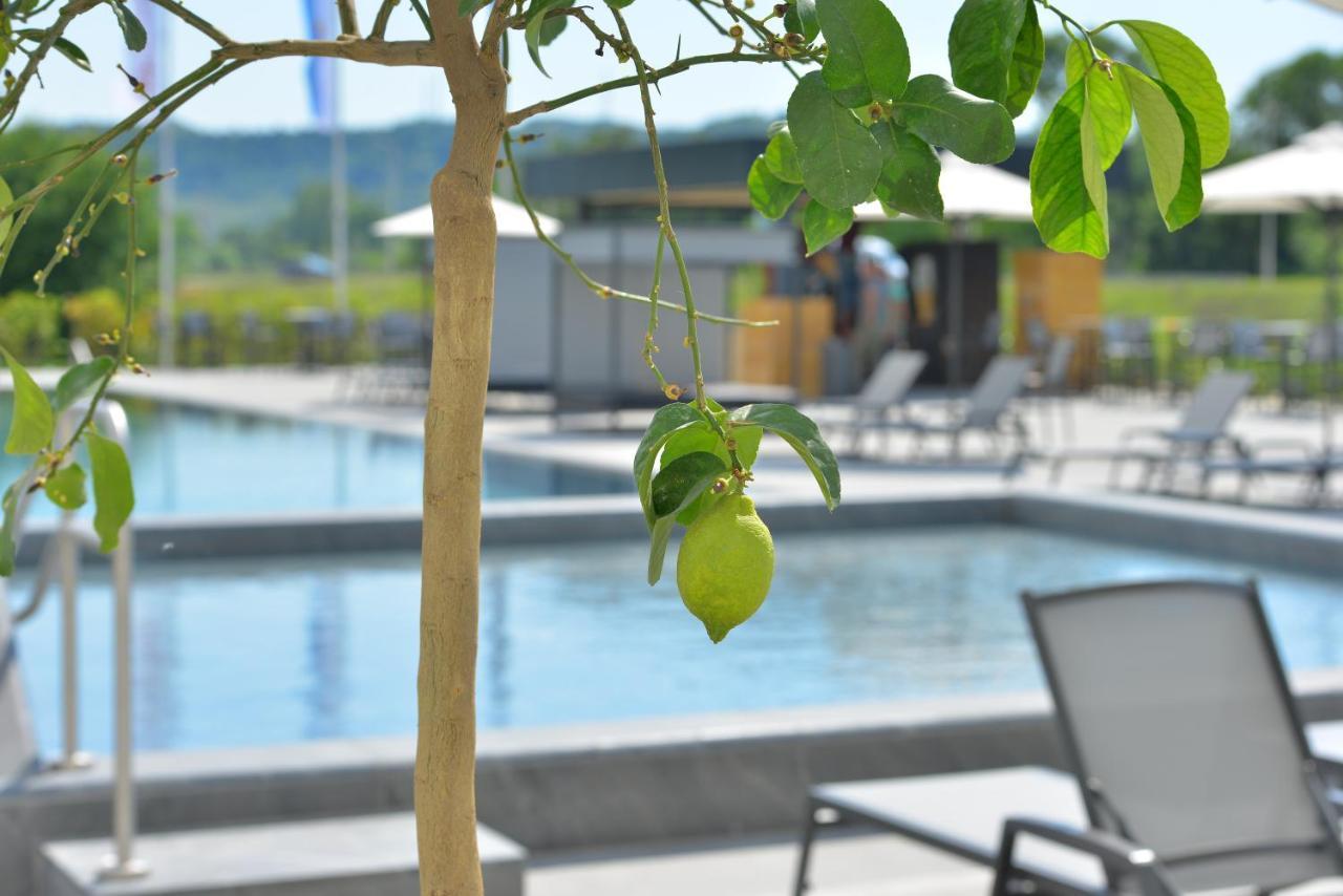 Mk Hotel Tirana Rinas Eksteriør bilde The swimming pool